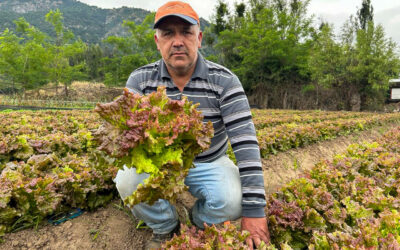 Camilo Acevedo